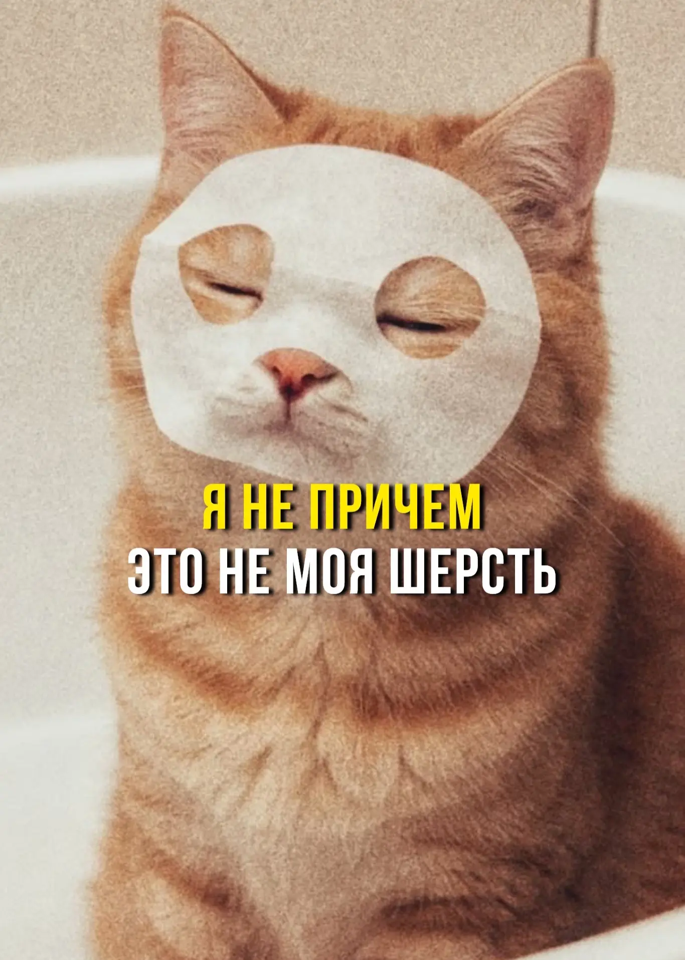 Неочевидный вредитель вашей любимой домашней одежды… кто же это!?