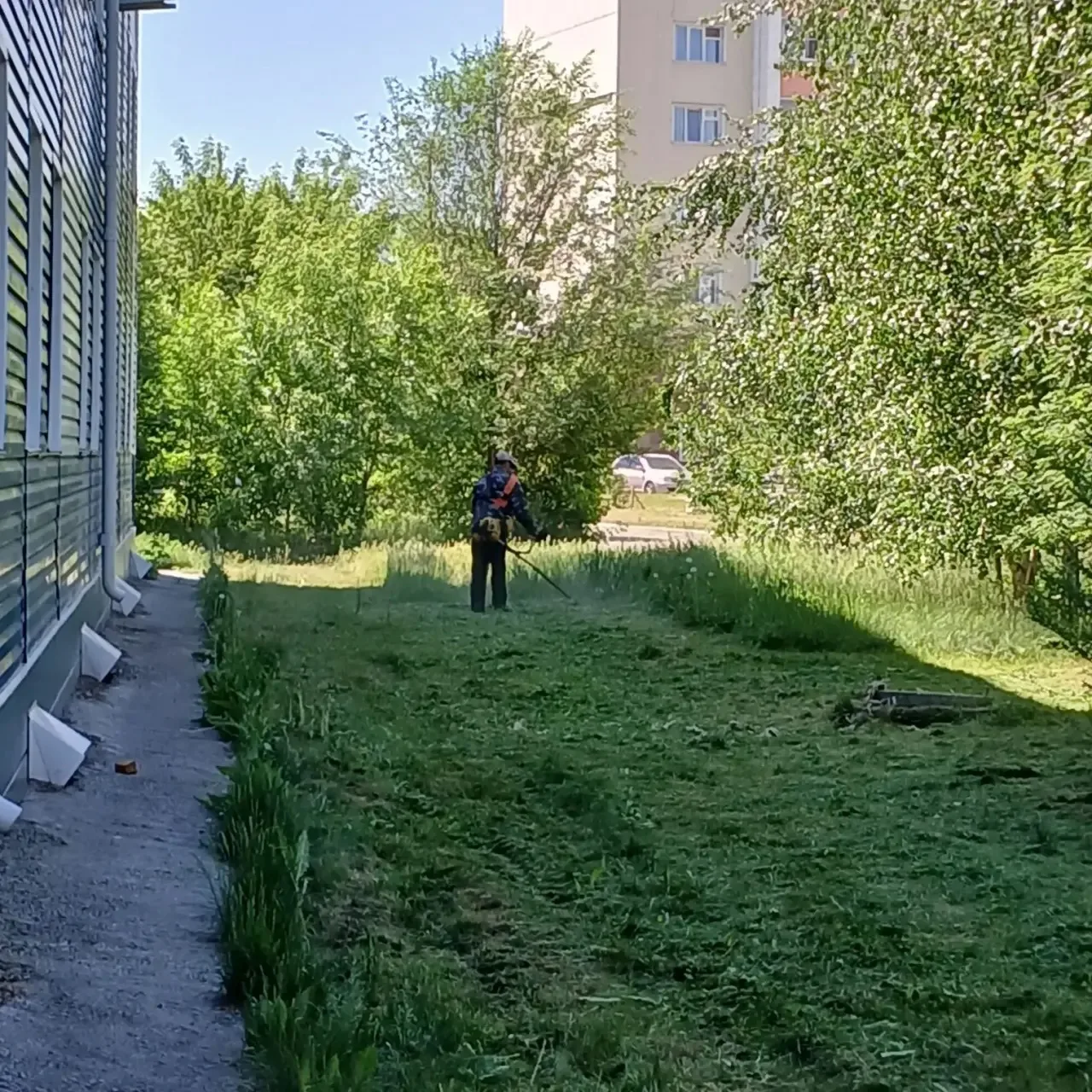 🌿Обкашивание травы на придомовой территории Прудская 15а.