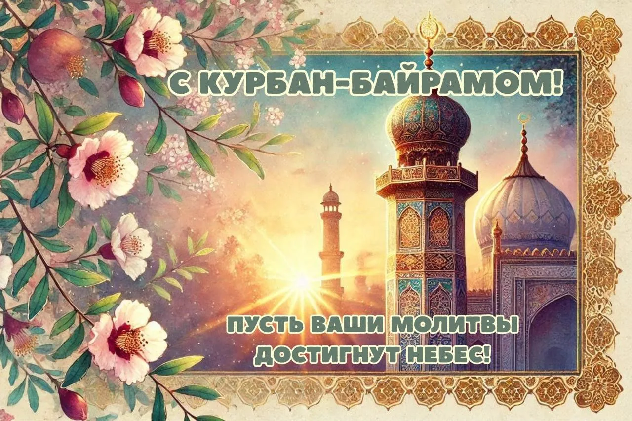 Дорогие коллеги и друзья!