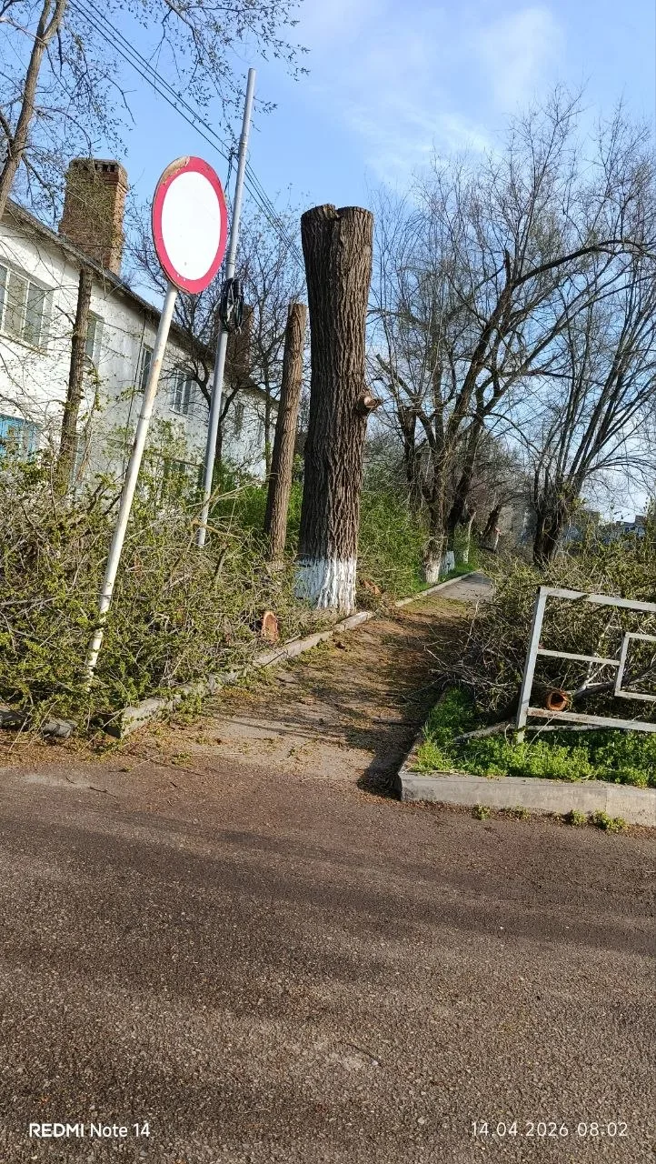 Ох, как же нужны официальные комментарии администрации. 🤔