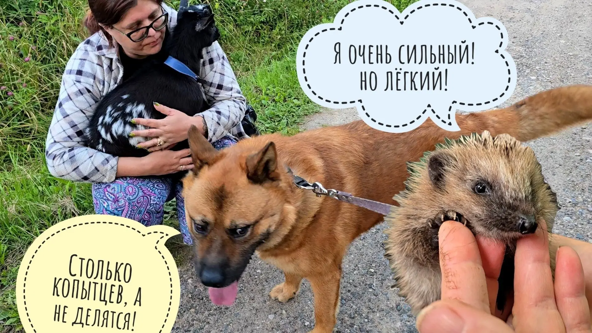Сколько вешать ежей в граммах?! Прогулка с козлом. Поймала и схватила люто-ежа. Пёс Кубик нашёл ос

