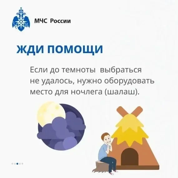 Если ты заблудился в лесу!  ⛺Если вы оказались в ситуации, когда не можете найти дорогу из леса, важ