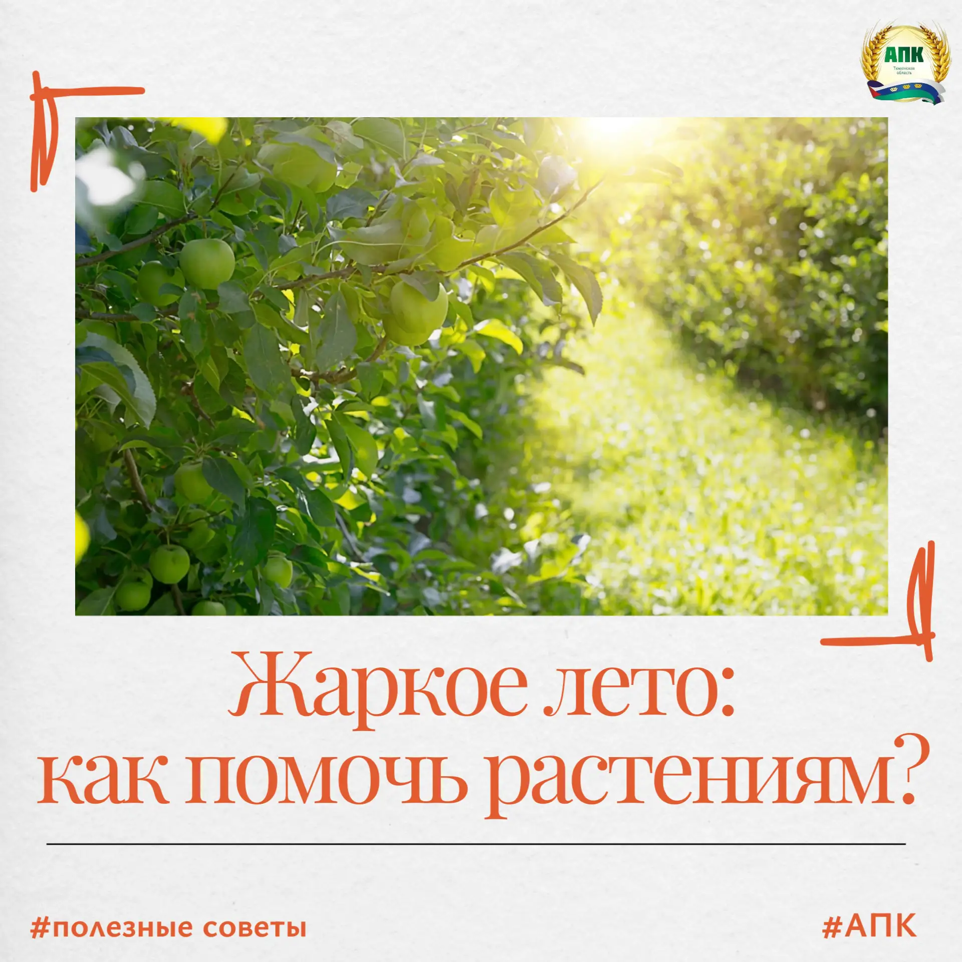 ☀️Продолжительная жара в летний период - серьёзное испытание для растений.