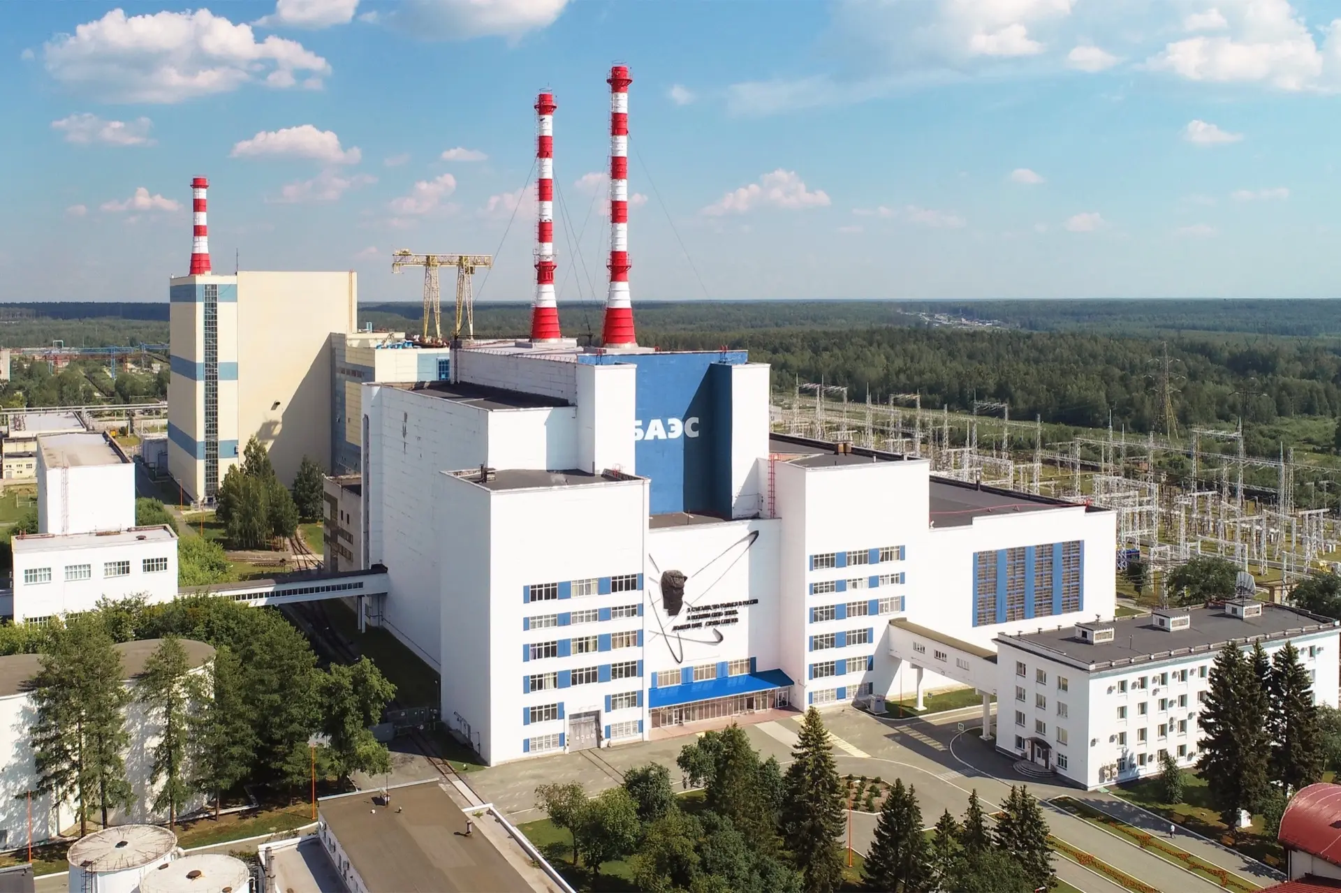 🌳 У лукоморья белого дома дуб зелёный