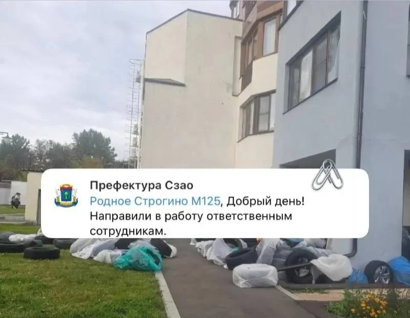 🧹 В Олимпии уберут скопившийся хлам