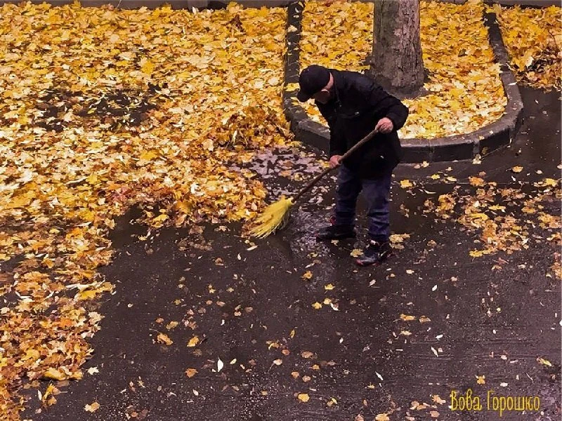 🍂 Осенние стихи про дворников и Багамы