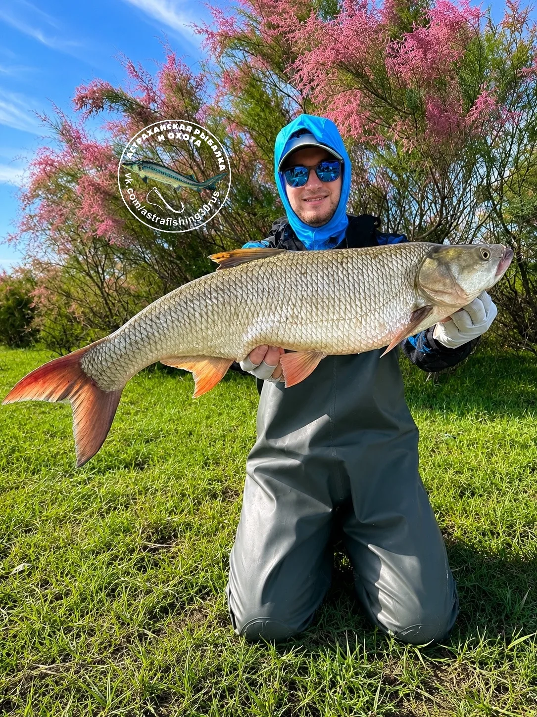 Очередная трофейная рыбалка в копилку 🏆🎣

Подписаться на Астраханская рыбалка и охота