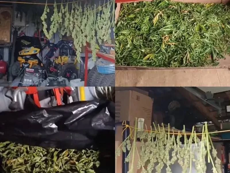 ⚡️В Смоленском округе полицейские изъяли около 5 килограммов марихуаны