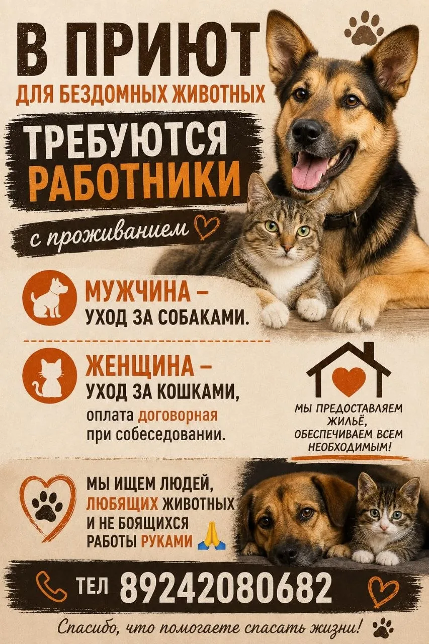 🐾 Требуются работники в приют для животных

Возможны два формата: проживание на территории ИЛИ прих