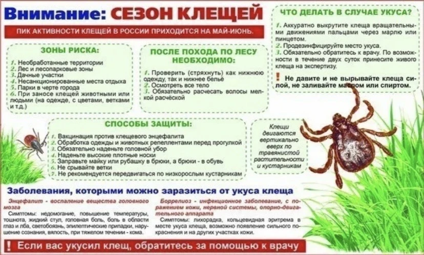 С приходом весны, пробуждением природы, люди сталкиваются с такой опасностью, как укусы...