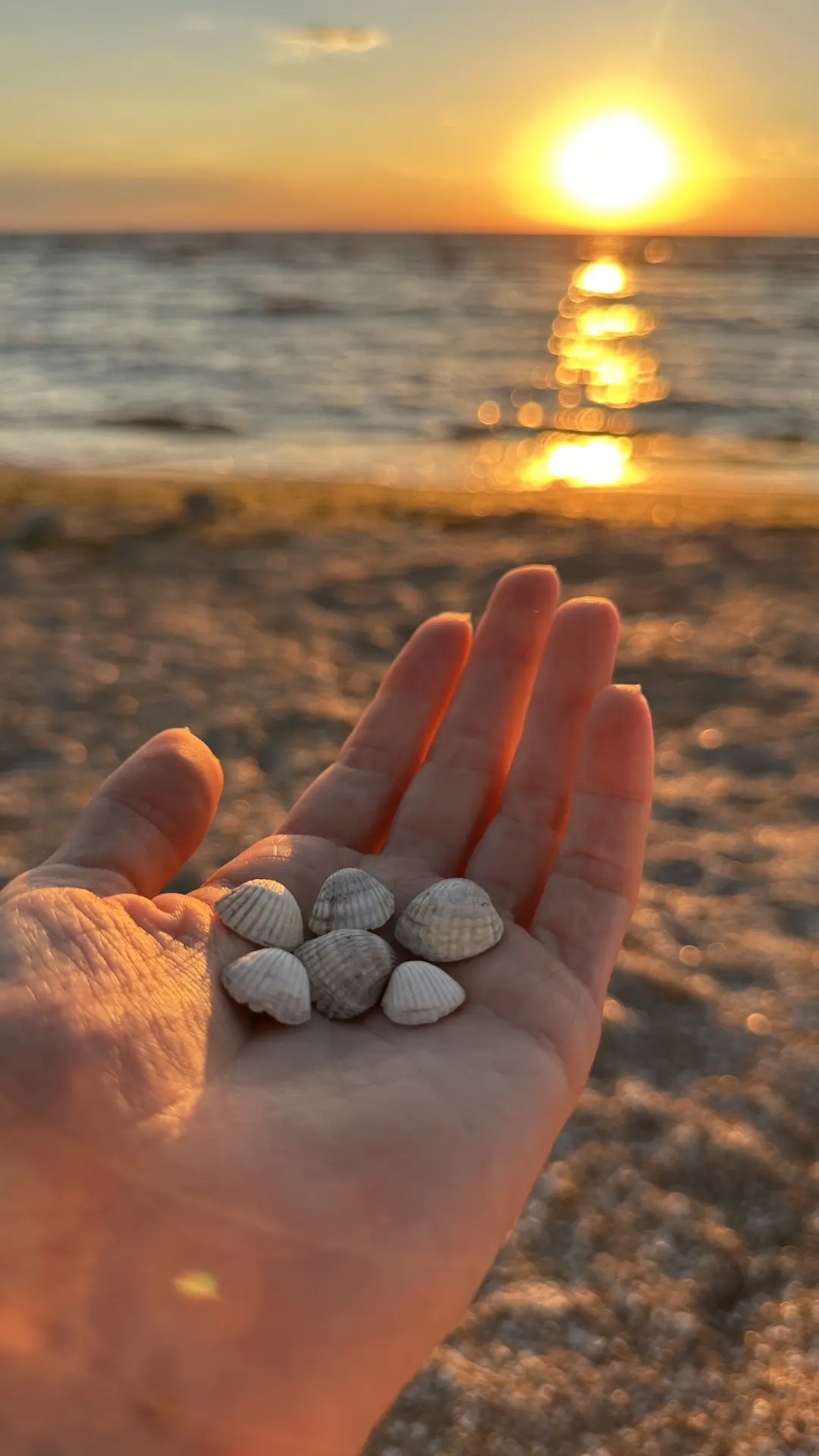 🐚 Такое прекрасное лето. И такое короткое. Передаю вам частичку тепла с Азовского побе...