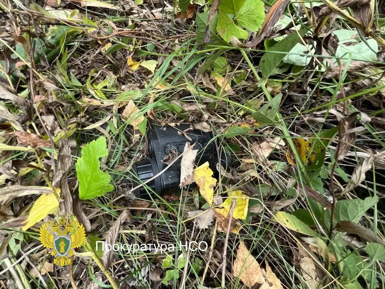 🐻 Охотник погиб после случайного выстрела в Новосибирской области
