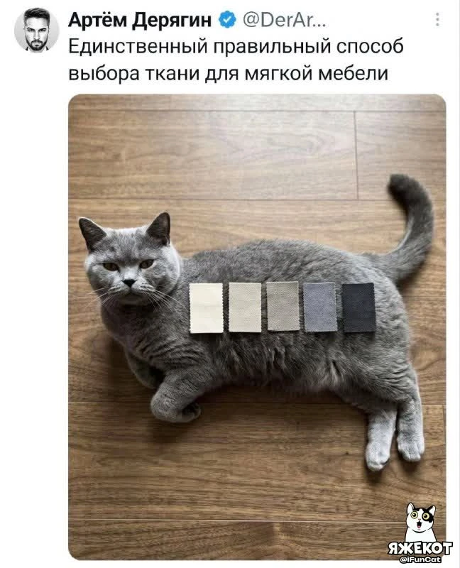 🐾 ЯЖЕКОТ
