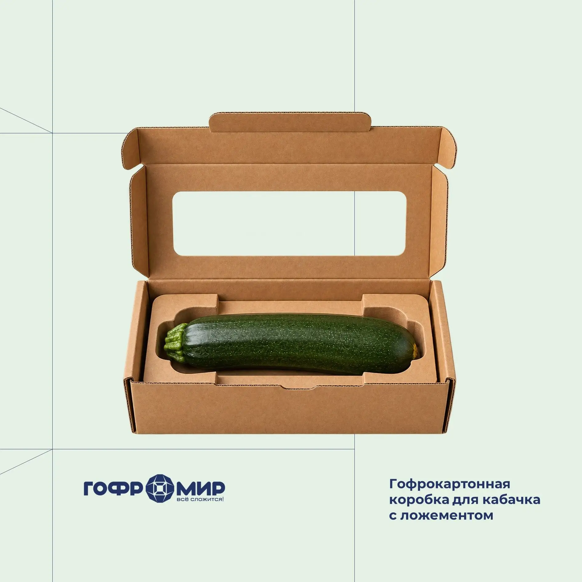 Сентябрь. Время упаковывать кабачки 🥒