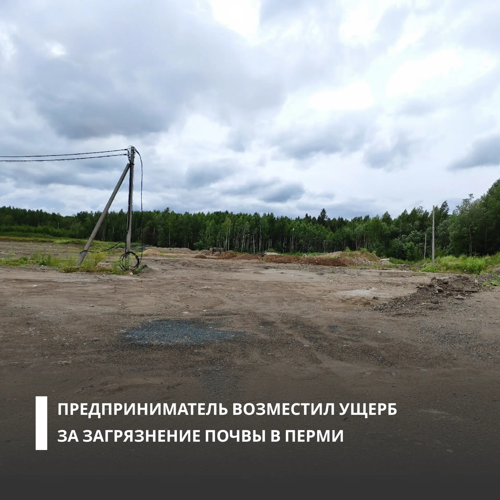 В Перми предприниматель возместил более 4,8 млн рублей вреда, причиненного почве при ск...