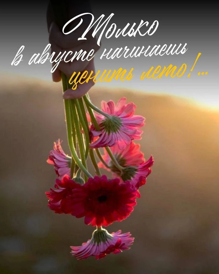 До конца августа осталось меньше недели...