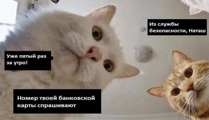 Мошенники атакуют семьи с несколькими детьми.

В июне появилась новая схема: людям рассказывают, что