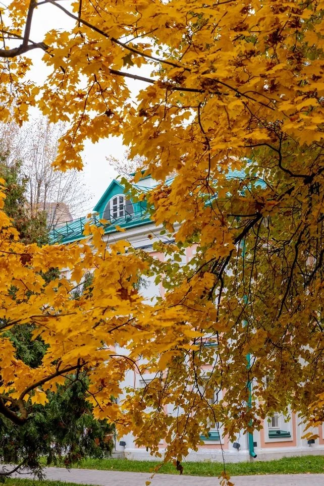 🍁Колыбельная природы: осенняя прогулка в Воронцово