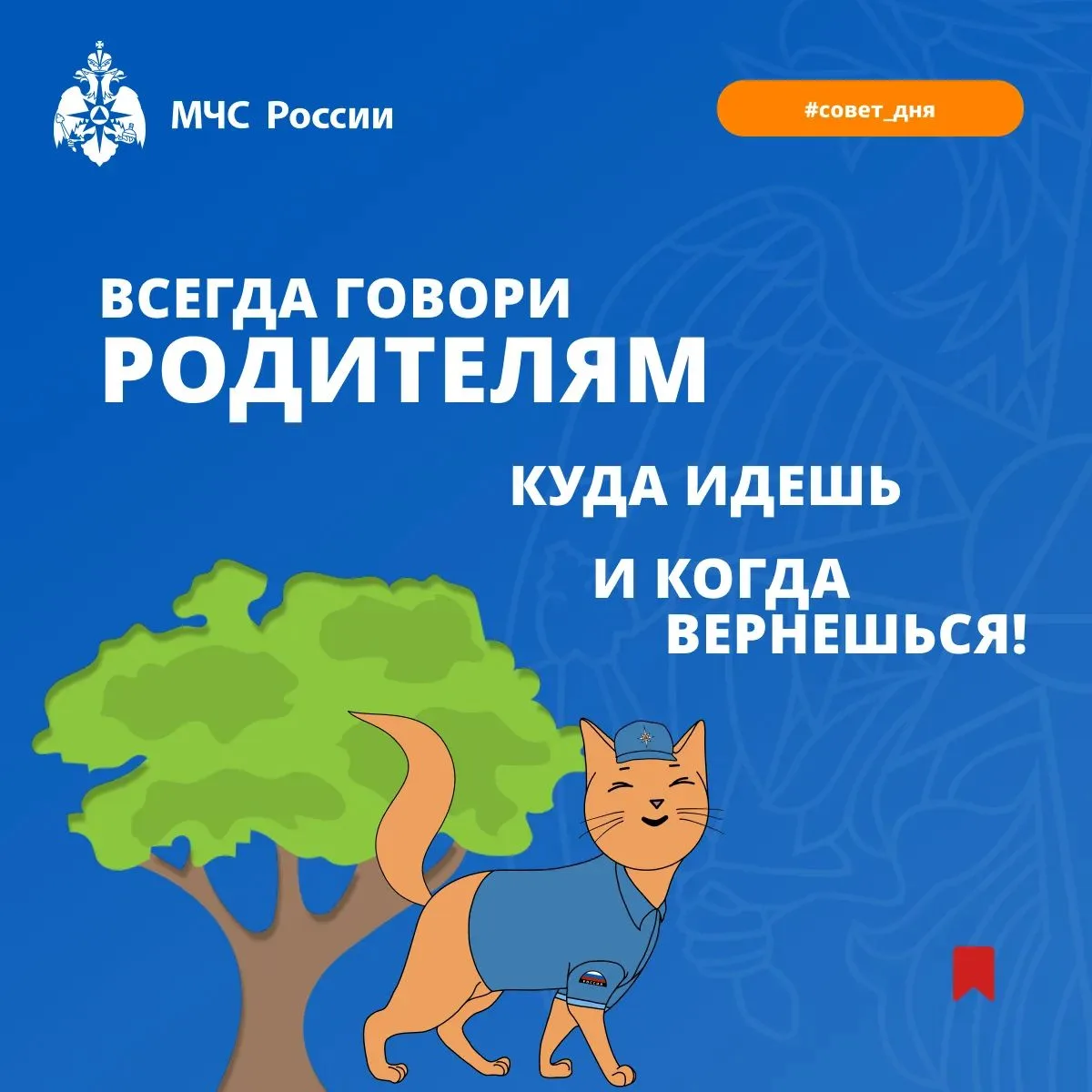 Рубрика #СОВЕТДНЯ