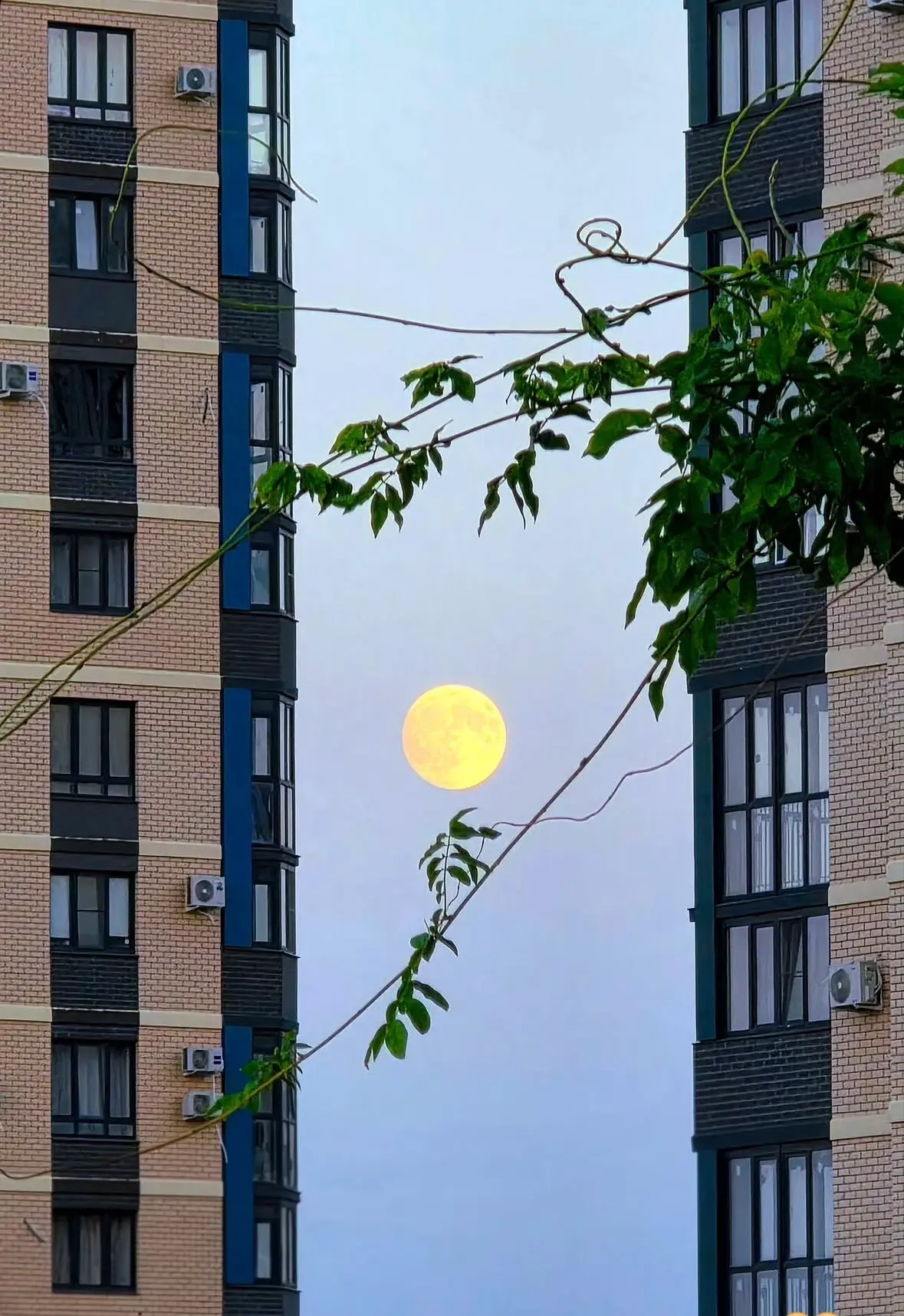 Доброе утро!