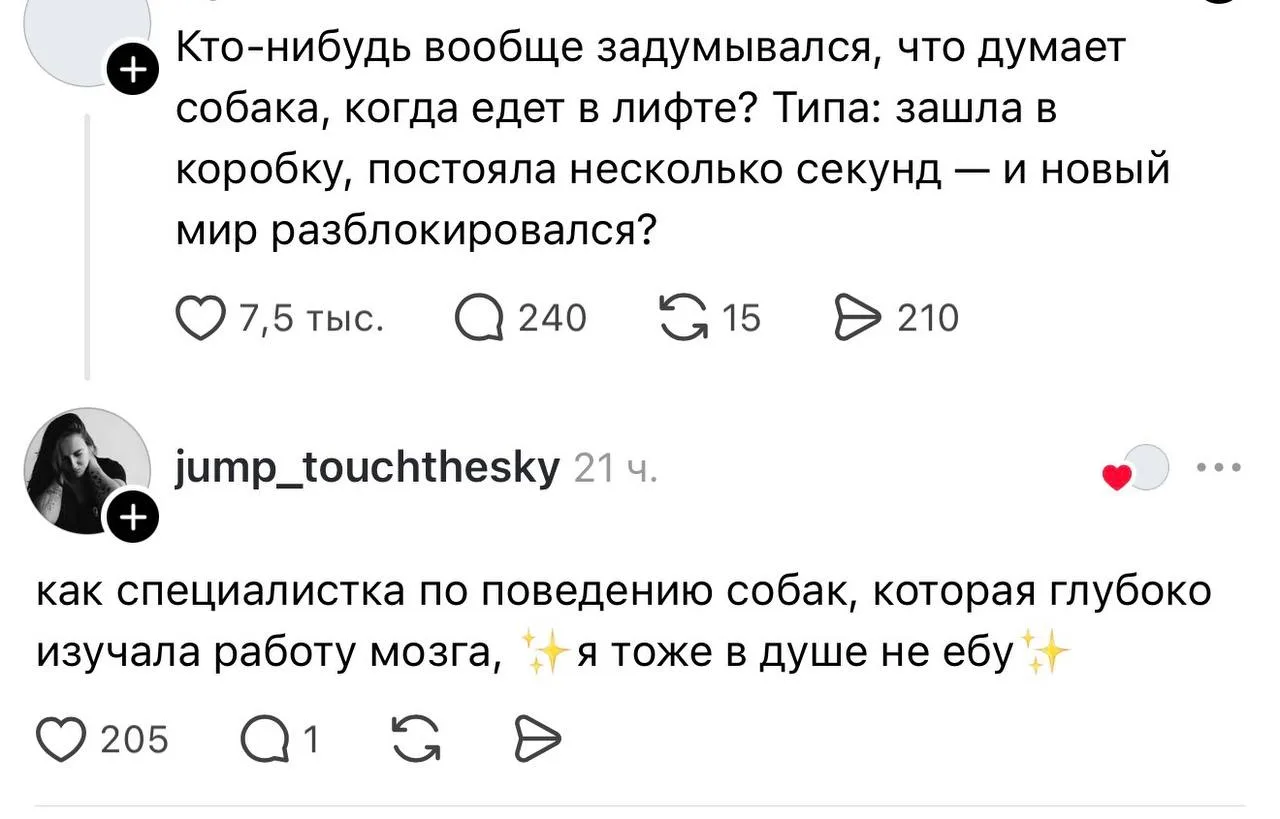 Говорят, раньше собаки в метро ездили, слушали объявление станций, и на нужной им выходили. А вы гов