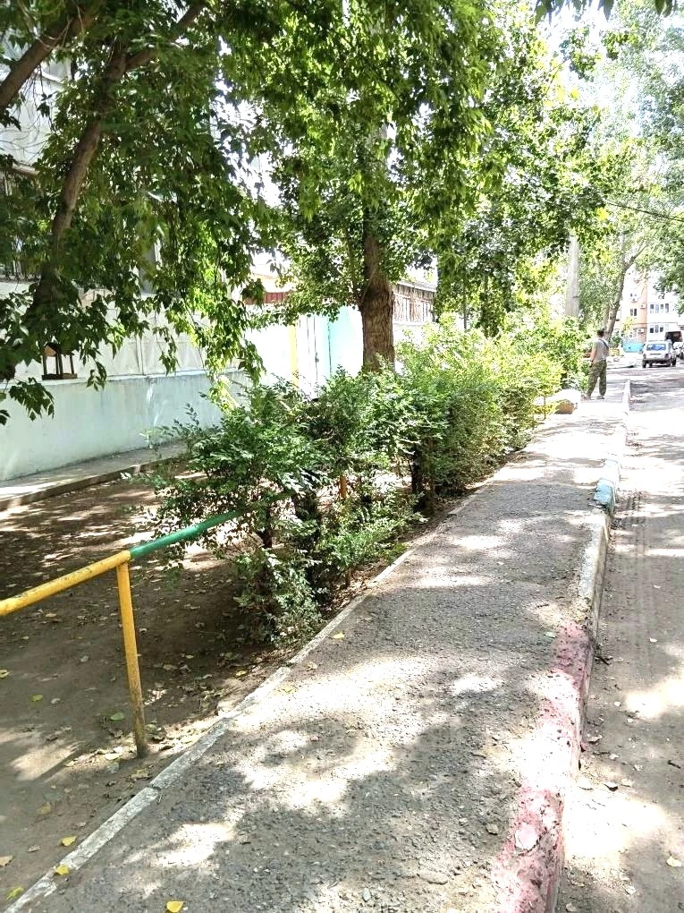 К новости «✂️ «Зеленый парикмахер» 🌳»
