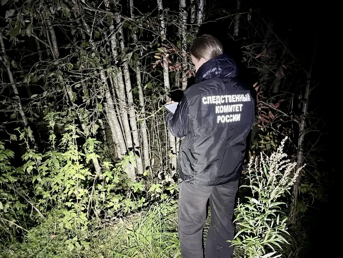 ⚡ В Вологодской области следователи устанавливают обстоятельства гибели мужчины в резул...
