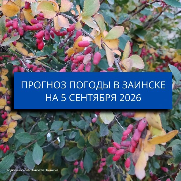 В Заинске 5 сентября ожидаются дожди и до +26 градусов