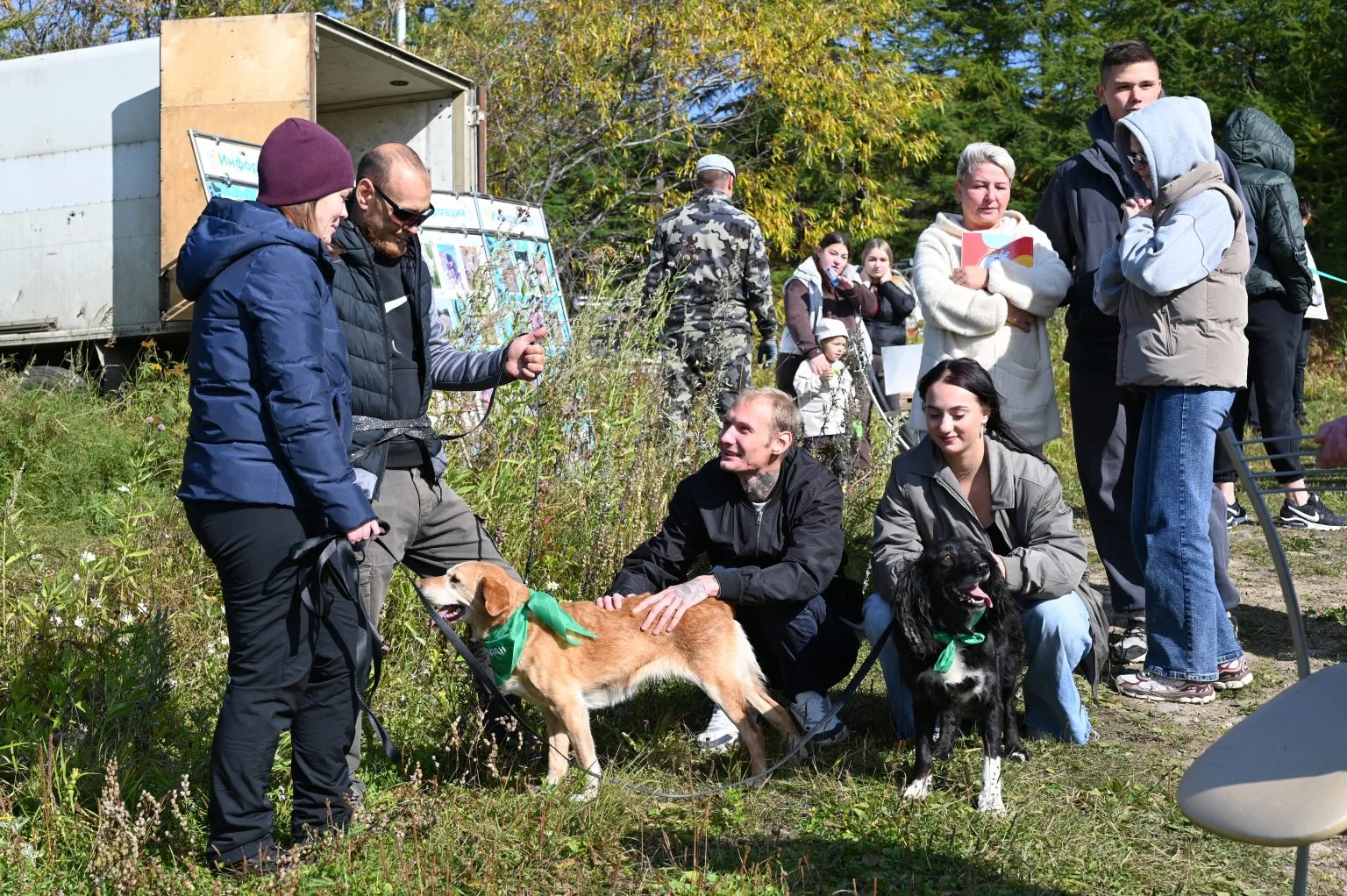📸 В Магадане прошла выставка-пристройство «Дорога домой» (ФОТОРЕПОРТАЖ)