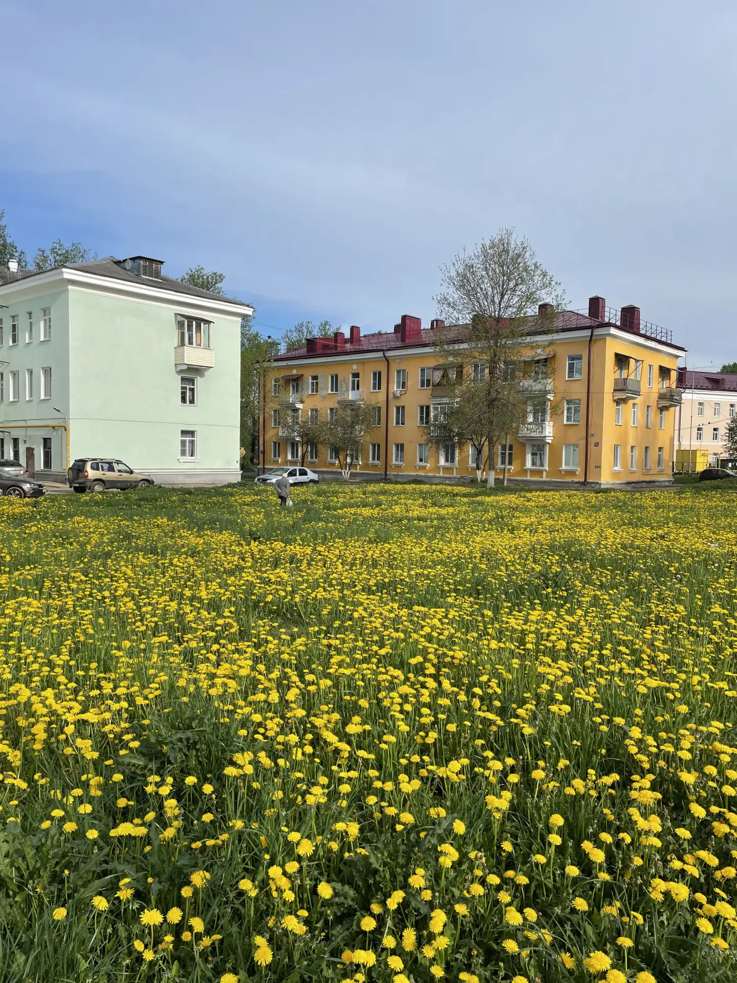 🌞С приходом тепла наши улицы зацвели одуванчиками. Настало время покоса травы. Сотрудн...
