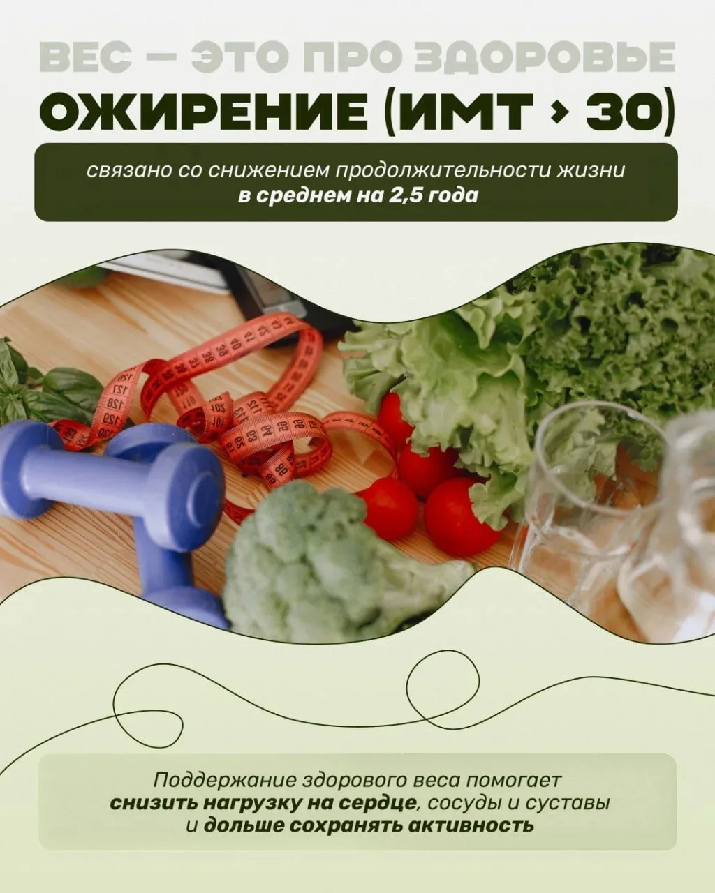 Ежегодно 7 апреля отмечается Всемирный день здоровья💪   Этот день позволяет вспомнить о важности душ