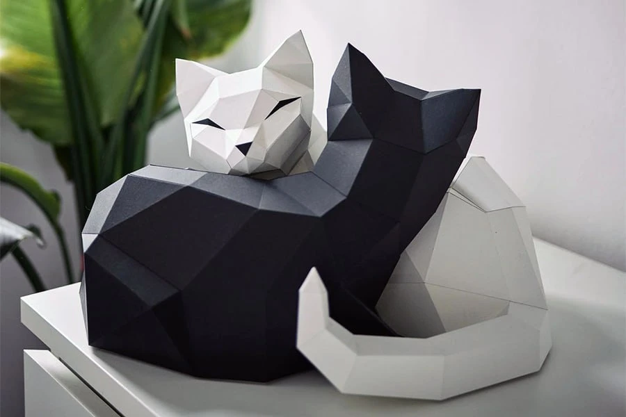 📚 Кошки Инь и Ян | Yin Yang Cats