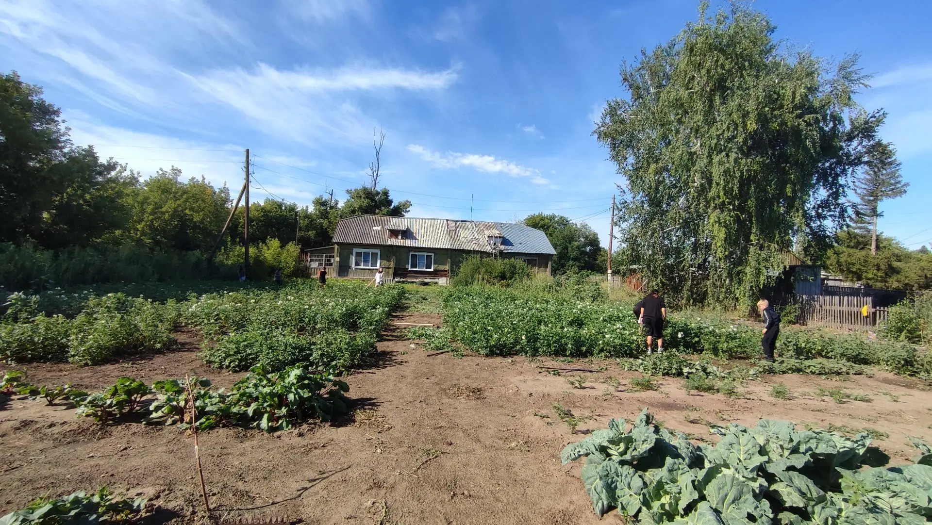 Учебно - опытный участок нашей школы

🥬 Лето - это пора не только отдыха, но и труда. Работа на шко