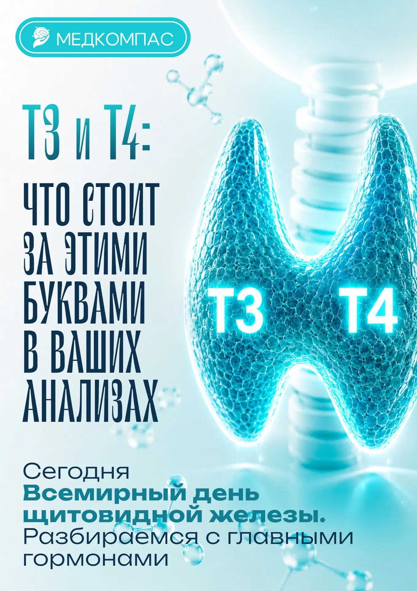 T3 и T4 есть почти в каждом анализе на щитовидную. Но что они означают и зачем их сдают?