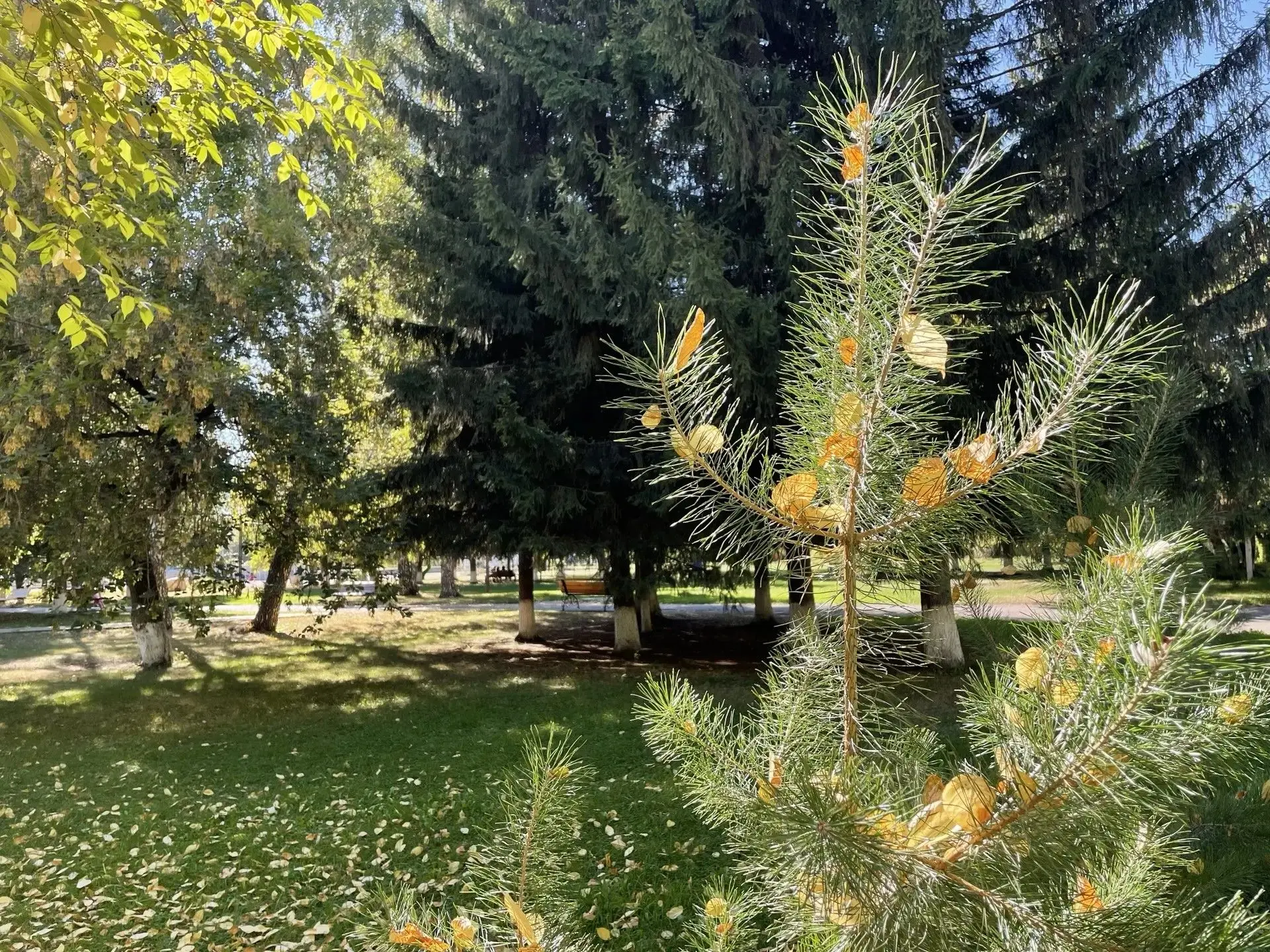 Утро субботы начинаем с солнца и +9°. Днём потеплеет до +16°, но примерно с обеда небо ...