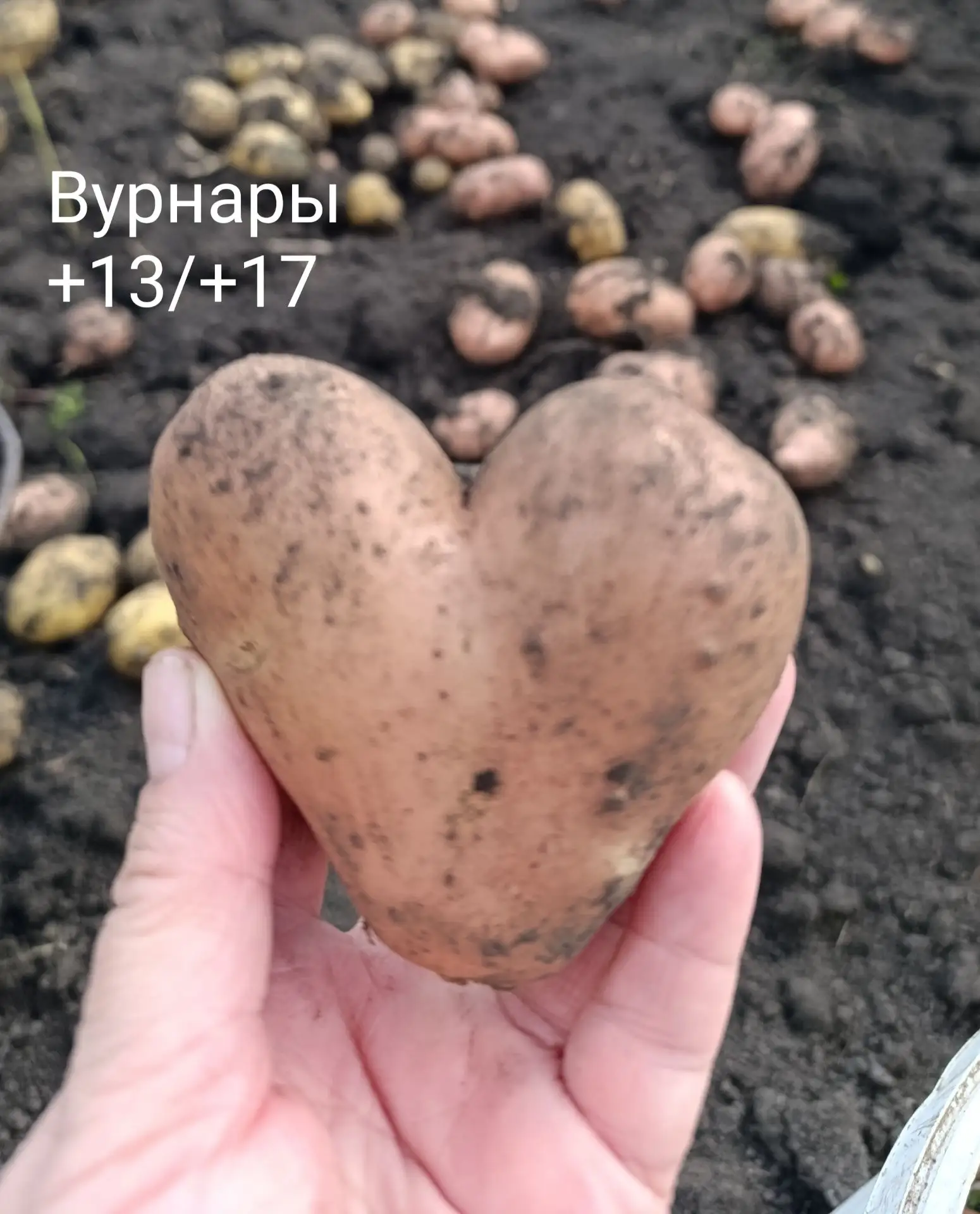 Хороший день начинается с хороших мыслей и приятных дел. Пусть у вас будет все именно так!