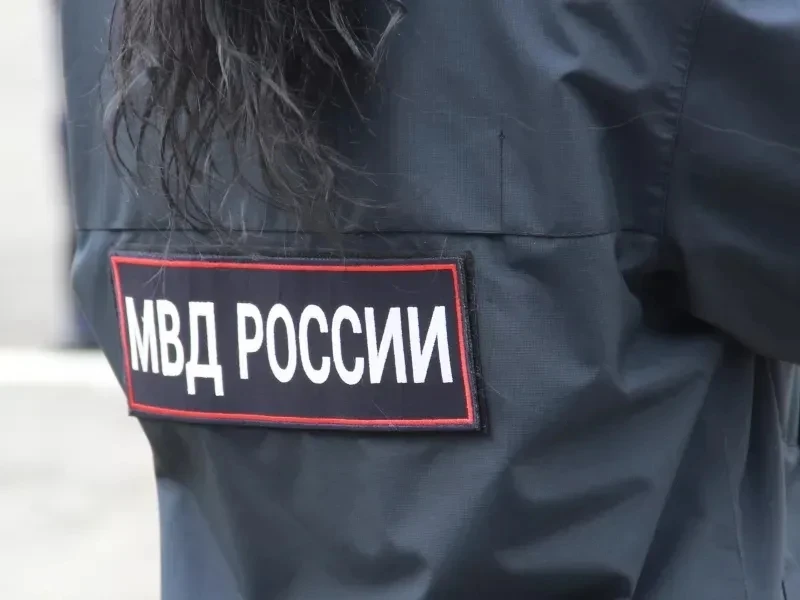 В Ачинске полицейские разбираются с заявлениями от граждан по поводу жестокого обращения с собаками
