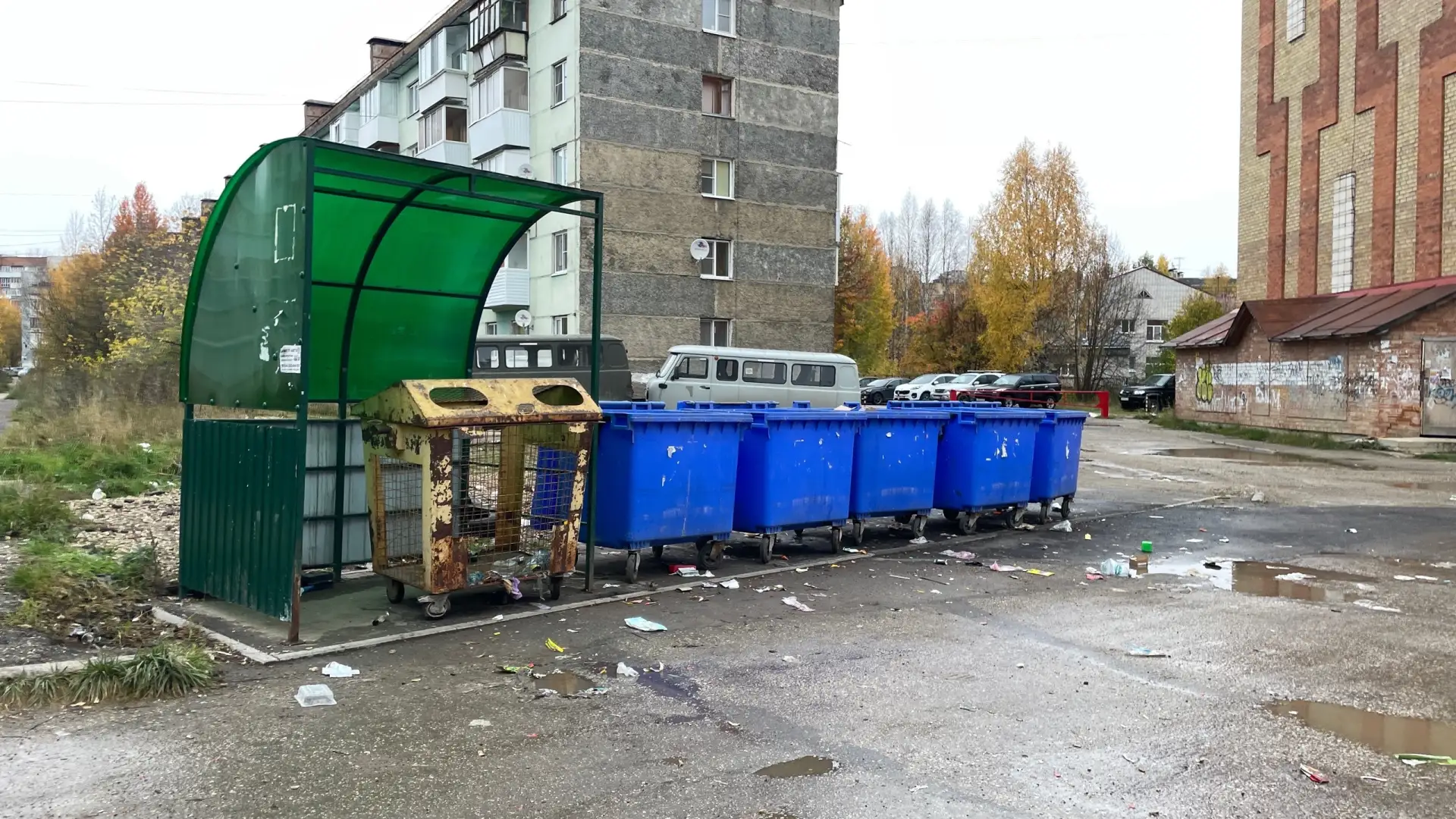 «Мусор разлетается по всей дороге»: ухтинка пожаловалась на контейнерную площадку