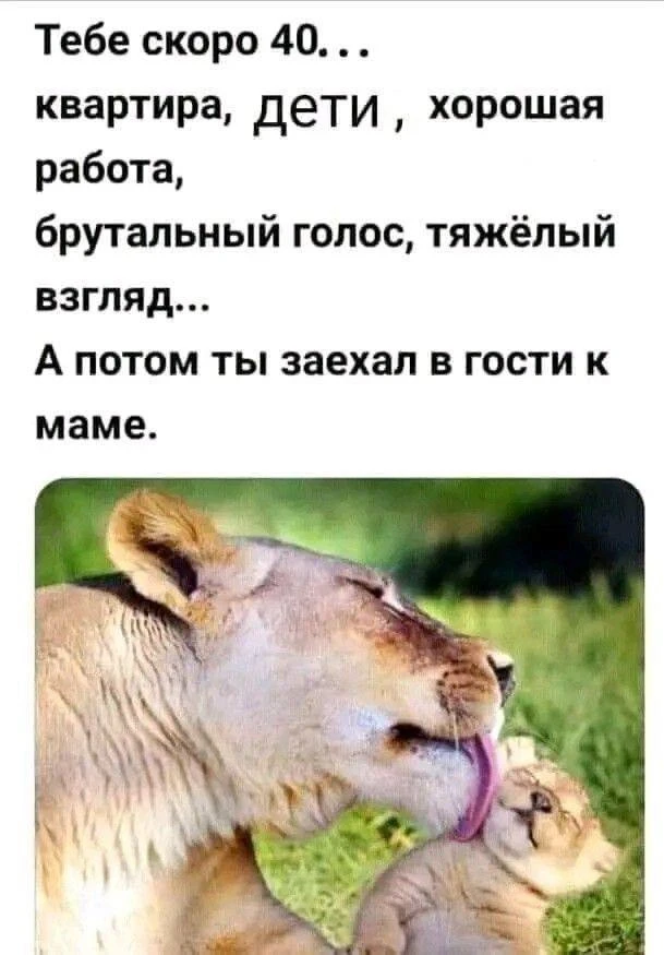 Весёлые анекдоты