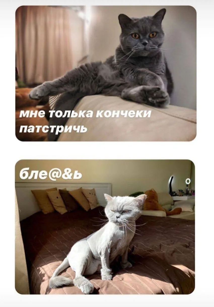 Мемчик выходного дня