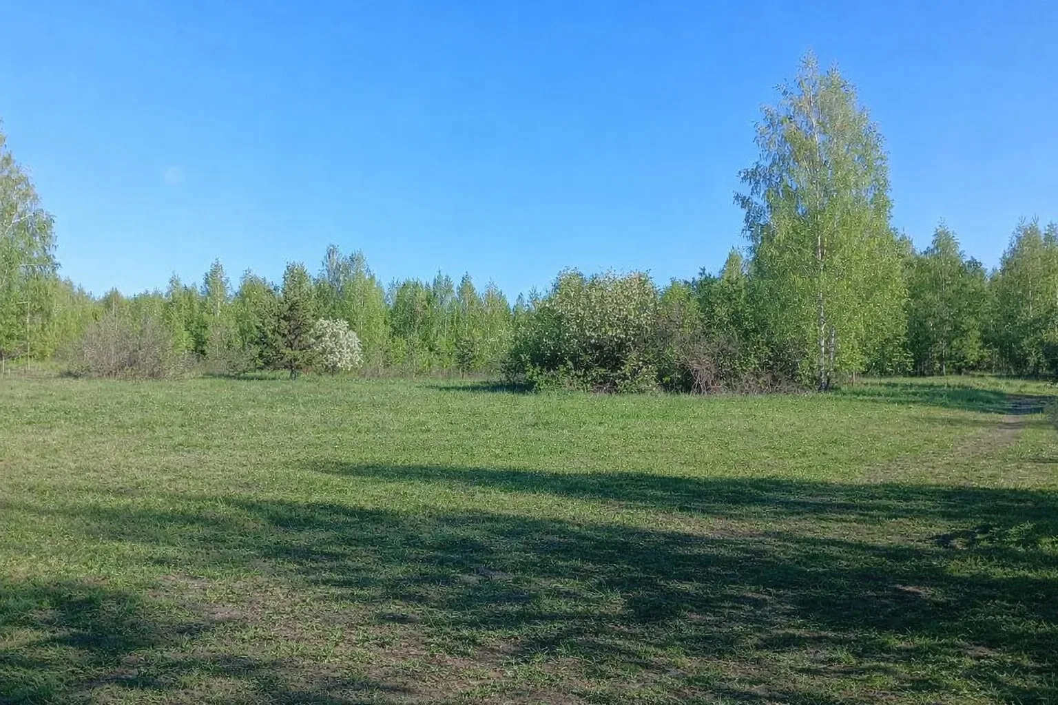 Сначала было поле.

Если честно, никакого великого плана тогда не было. Мы просто листали Авито, уви