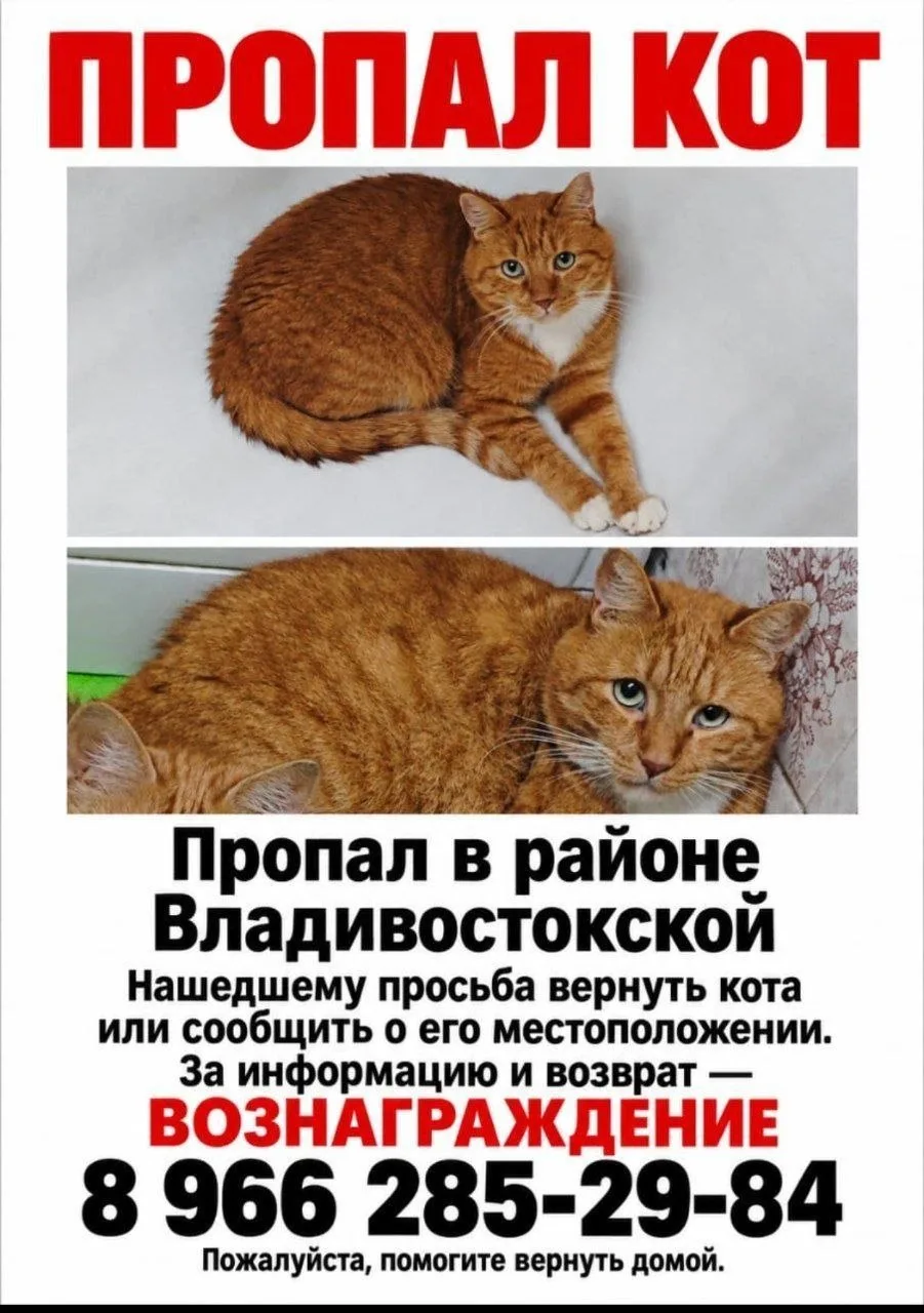 г. НАХОДКА