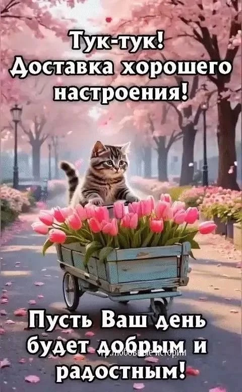 🥰 Оставляйте реакции, если понравилась открытка и делитесь с близкими ❤