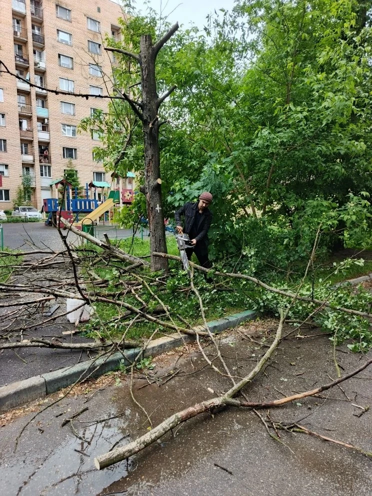 Сегодня, 27 мая, рабочие провели спил аварийных деревьев на придомовой территории МКД у...