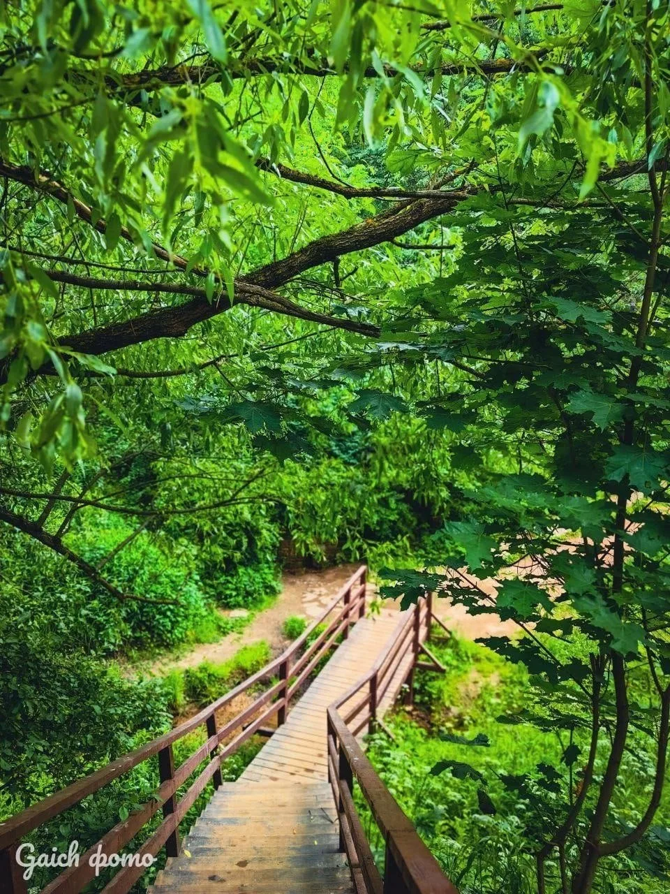 🤩 Экотропа для спокойных неспешных прогулок – в Тропаревском лесопарке!

📍 подробнее
🎫 вход свобо