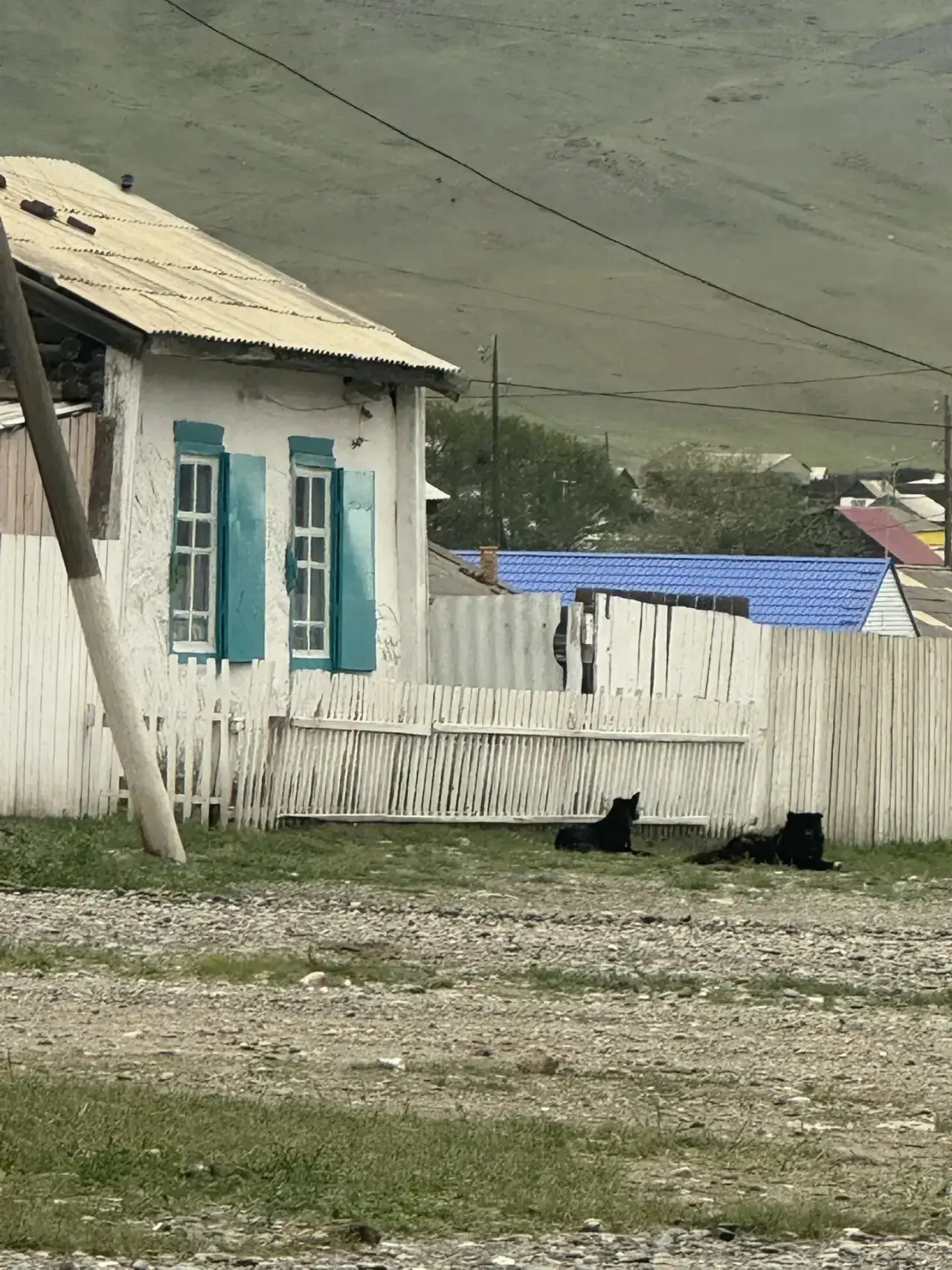 🐕 В администрации продолжаются рейды по соблюдению правил содержания собак