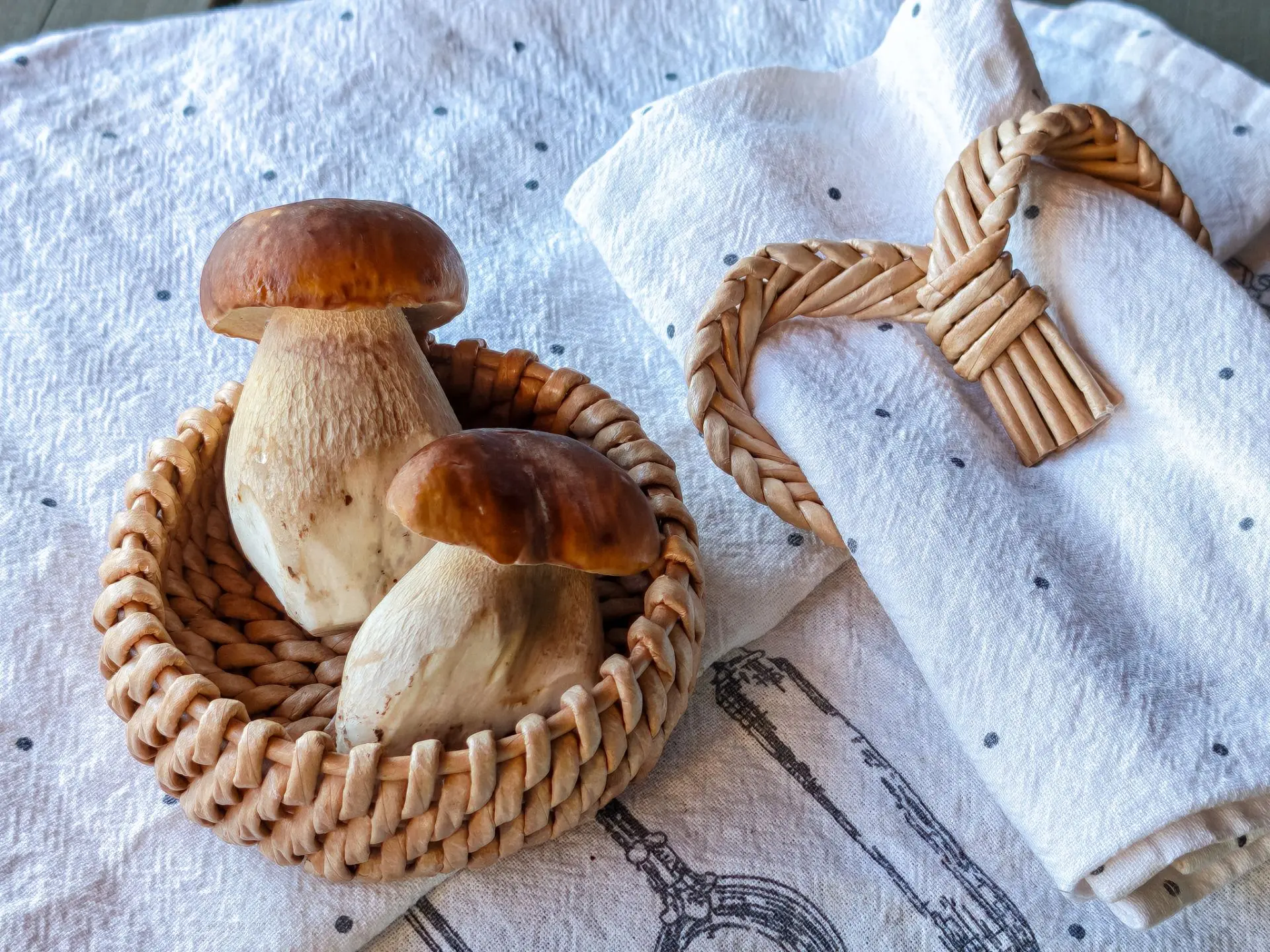 Эстетично и практично🤍