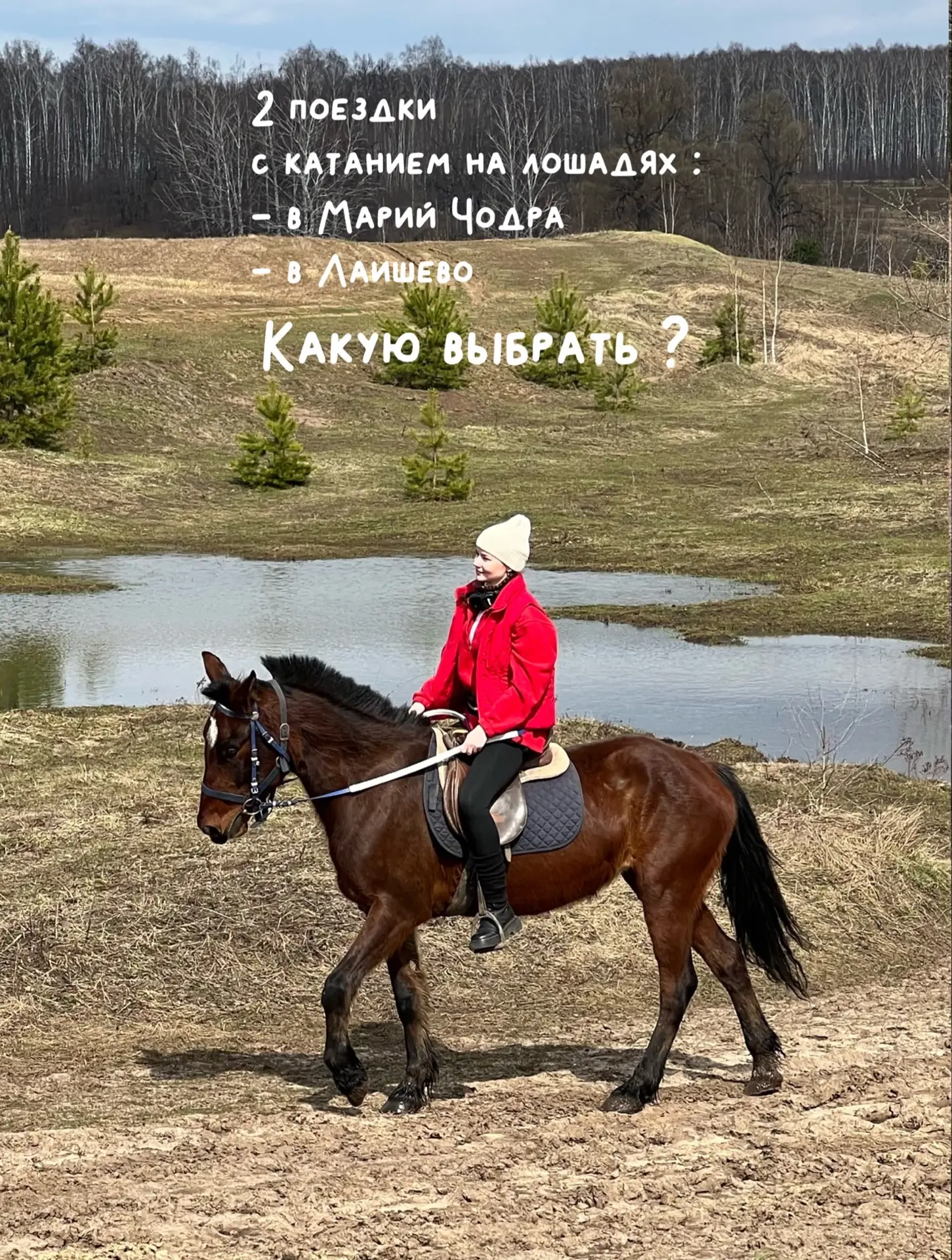 Листайте карточки и выбирайте, где будете кататься на лошадях 🐎