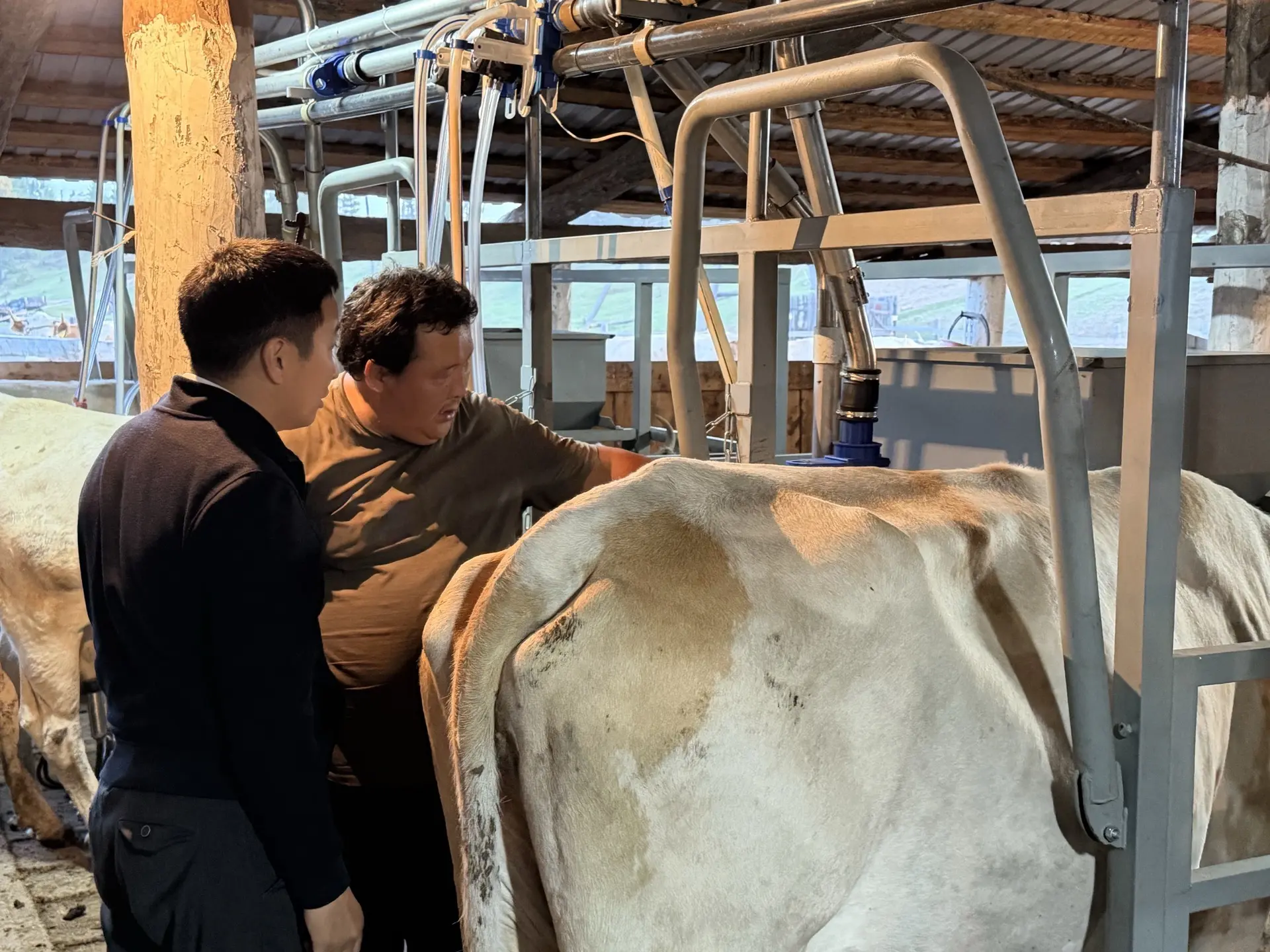 🥛Обсудили вопросы развития хозяйства, поддержки сельхозпроизводителей, обновления техн...