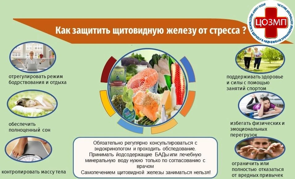 Щитовидная железа — небольшой орган эндокринной системы, расположенный на передней пове...
